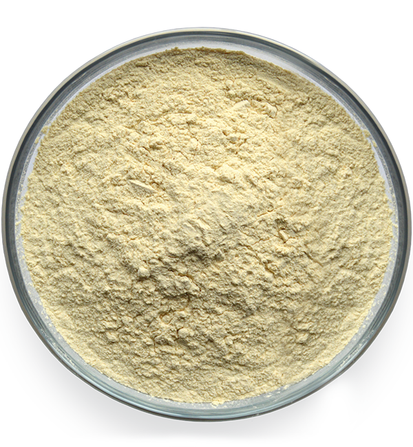   EnzActive Protein Powder – унікальний штам дріжджової культури